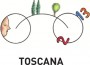 toscana2013